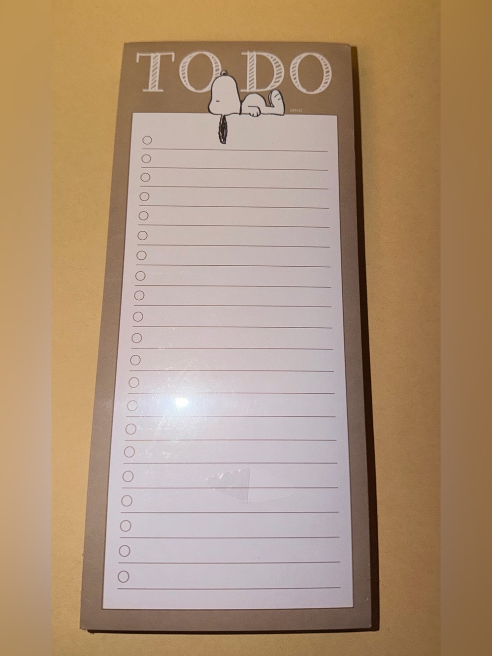 🐾NIP various Snoopy 100 Sheet Notepads